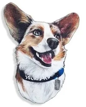 WOODSLOT брошь значок морда корги очаровательная br581